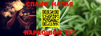 сатива Краснознаменск